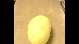 Patati patata videos baixar