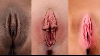 Tipos de vaginas xxx