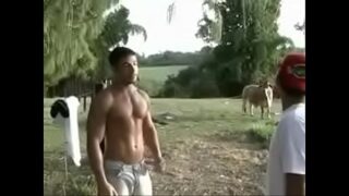 A fazenda gay