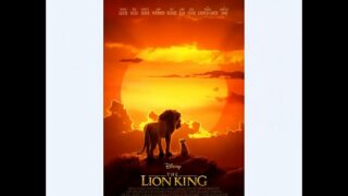 Lion king 2019 plush