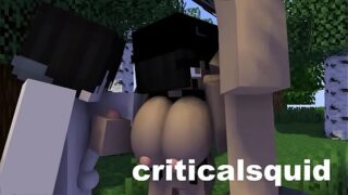 Minecraft pelados 5