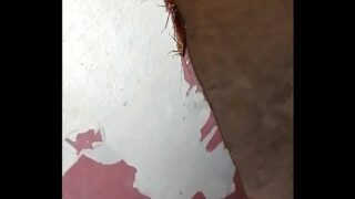 Cockroach xvideo