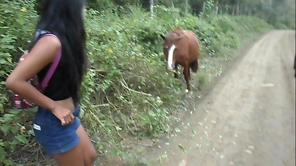 Horse porn - Porno Gratis Brasil