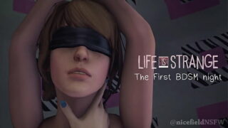 Life is strange pricefield fanart