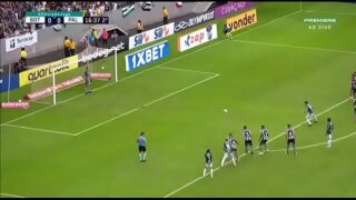 Palmeiras videos