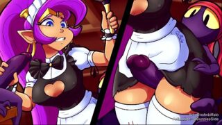 Shantae pirate\’s curse