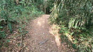 Mulher tranzando em mato grosso